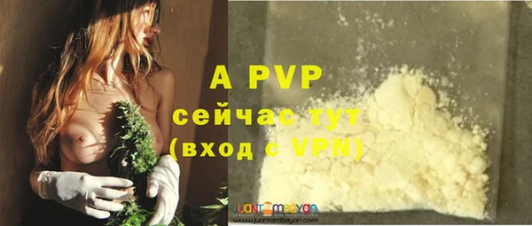a pvp Билибино