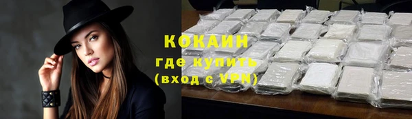 МДПВ Бикин
