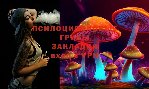 a pvp Билибино