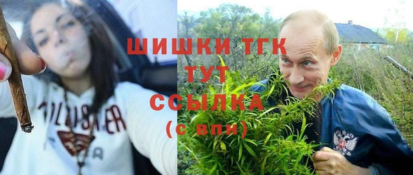 МДПВ Бикин
