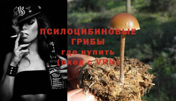 ГАЛЛЮЦИНОГЕННЫЕ ГРИБЫ Ахтубинск
