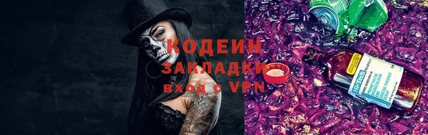 МДПВ Бикин