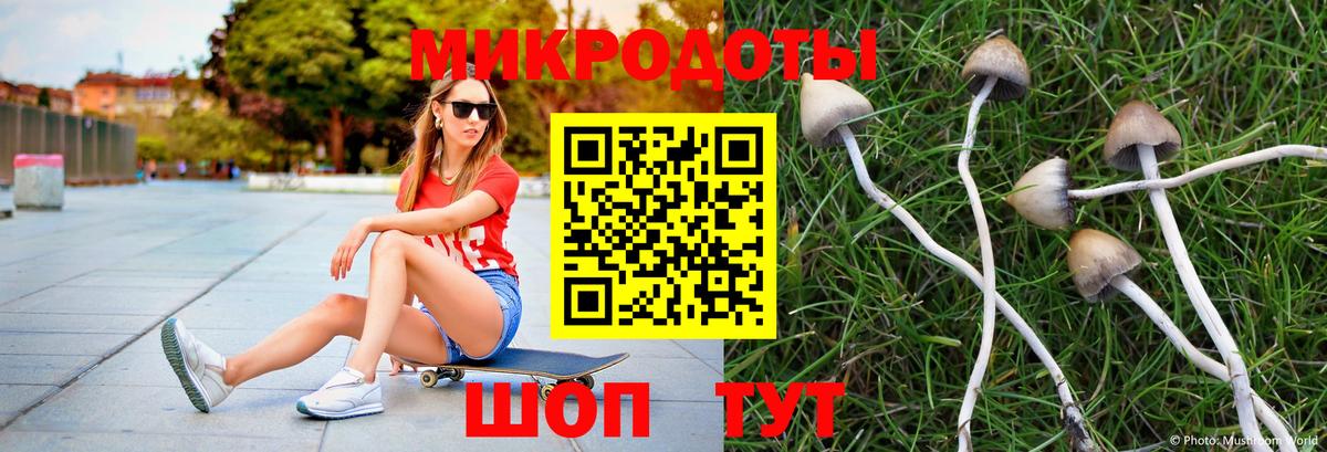 купить наркоту  Галлюциногенные грибы мицелий  Вход с VPN  Заринск 