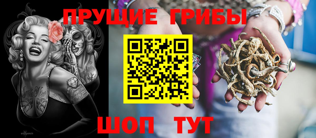 цена   Галлюциногенные грибы мухоморы  Заринск  Галлюциногенные грибы Psilocybe 